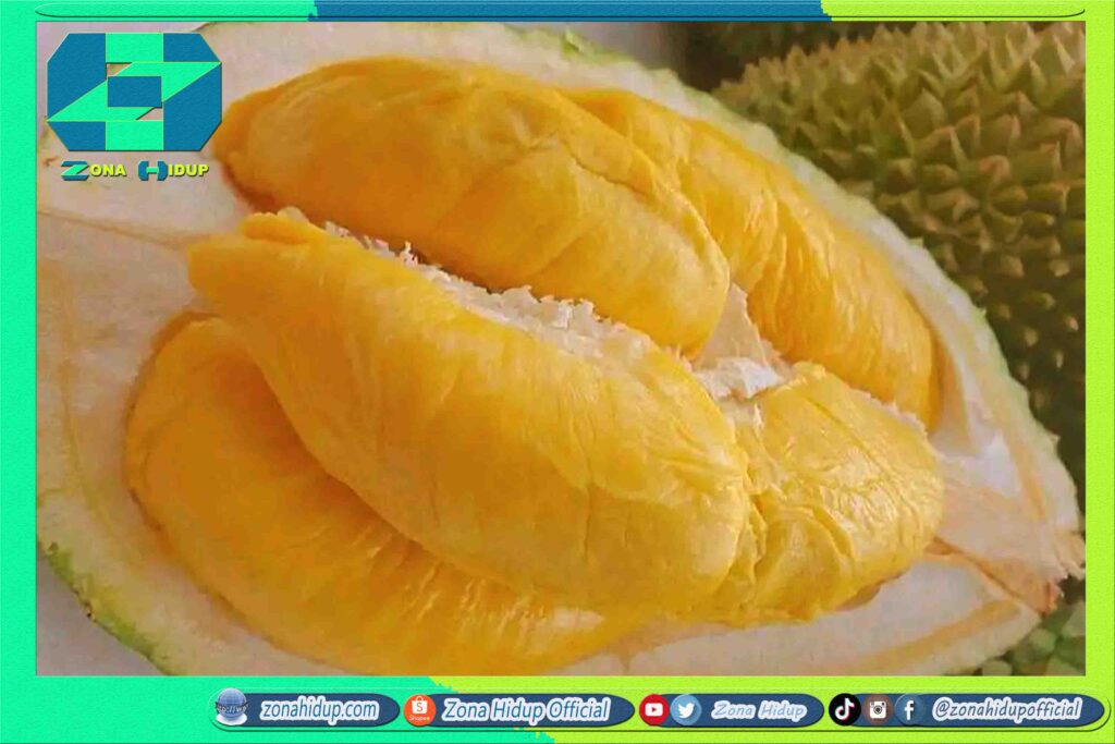 Durian Bawor