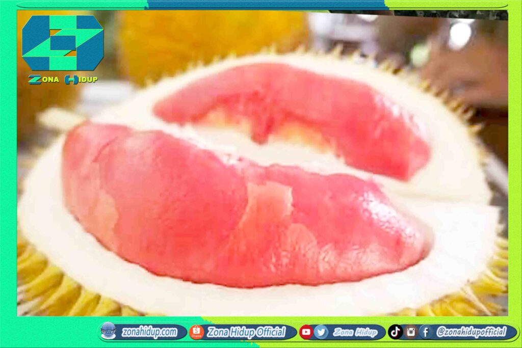 Durian Merah