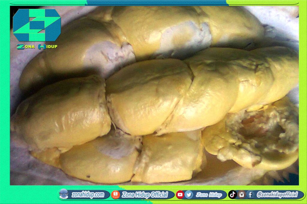 Durian Petruk